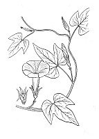 J1031.jpg J1031.jpg