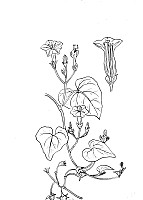 J1032.jpg J1032.jpg