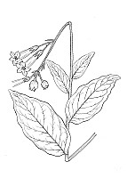 J1039.jpg J1039.jpg