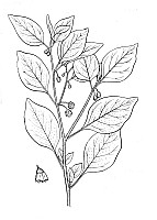 J1040.jpg J1040.jpg