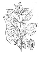J1042.jpg J1042.jpg