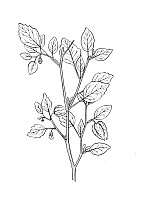 J1043.jpg J1043.jpg