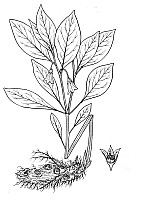 J1044.jpg J1044.jpg