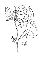 J1046.jpg J1046.jpg