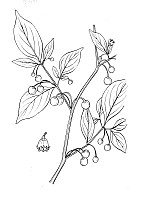 J1047.jpg J1047.jpg