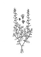 J1051.jpg J1051.jpg