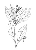 J1052.jpg J1052.jpg