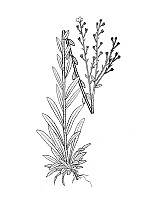 J1053.jpg J1053.jpg