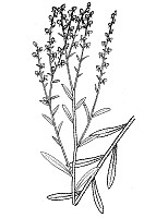 J1054.jpg J1054.jpg