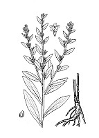 J1058.jpg J1058.jpg