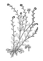 J1066.jpg J1066.jpg