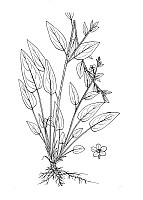 J1067.jpg J1067.jpg