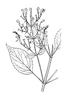 J1068.jpg J1068.jpg