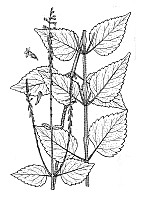 J1071.jpg J1071.jpg