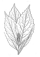 J1076.jpg J1076.jpg