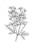 J1082.jpg J1082.jpg
