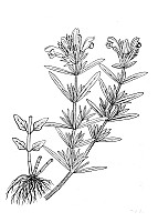 J1085.jpg J1085.jpg