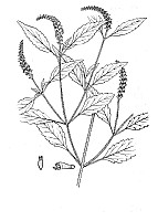 J1086.jpg J1086.jpg