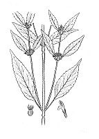 J1089.jpg J1089.jpg