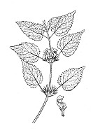 J1093.jpg J1093.jpg
