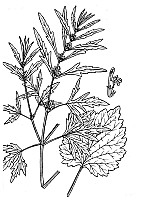 J1097.jpg J1097.jpg