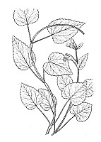 J1103.jpg J1103.jpg