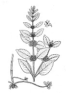 J1104.jpg J1104.jpg