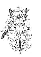 J1105.jpg J1105.jpg