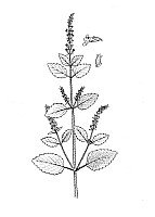 J1110.jpg J1110.jpg