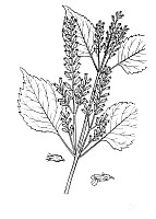 J1111.jpg J1111.jpg
