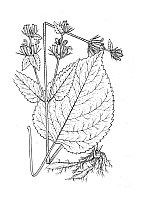 J1113.jpg J1113.jpg