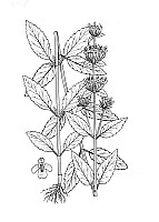 J1118.jpg J1118.jpg