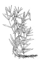 J1123.jpg J1123.jpg