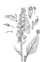J1144.jpg J1144.jpg