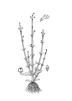 J1145.jpg J1145.jpg