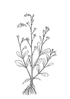 J1153.jpg J1153.jpg