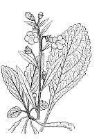 J1180.jpg J1180.jpg