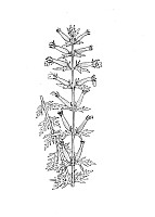 J1185.jpg J1185.jpg
