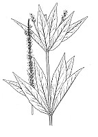 J1201.jpg J1201.jpg