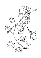 J1210.jpg J1210.jpg