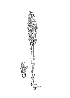 J1213.jpg J1213.jpg