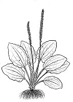 J1214.jpg J1214.jpg