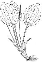 J1220.jpg J1220.jpg