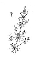 J1223.jpg J1223.jpg
