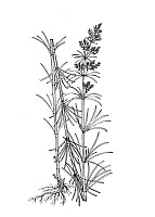 J1239.jpg J1239.jpg