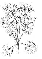 J1243.jpg J1243.jpg