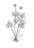 J1247.jpg J1247.jpg