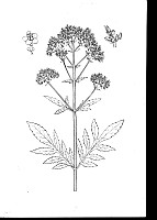 J1250.jpg J1250.jpg