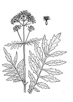 J1253.jpg J1253.jpg