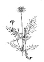J1260.jpg J1260.jpg
